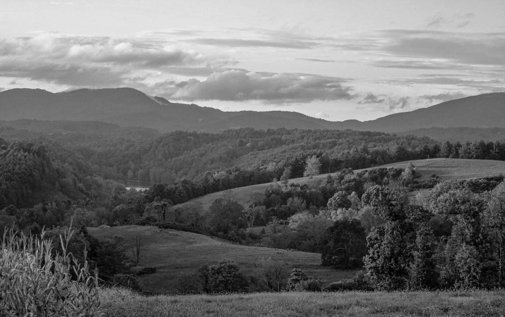 The Wedding Website of Ansley Abernathy and Matthew Taylor