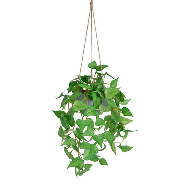 dallisten Mini Hanging Plant, Artificial Small Hanging Plants, Greenery Decor for Wall, Bedroom, Cupboard, Window, Dinning Room, Indoor or Outdoor