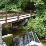 Go on a hike at Saunders Springs Nature Preserve