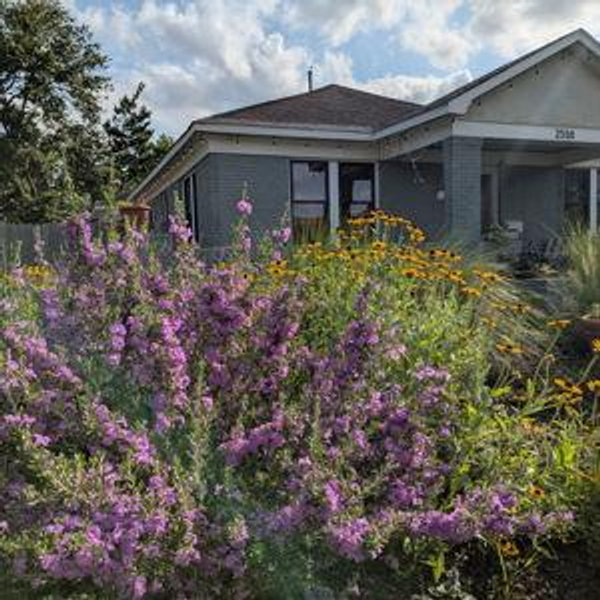 Trees and Gardening
