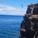 Papakōlea Green Sand Beach