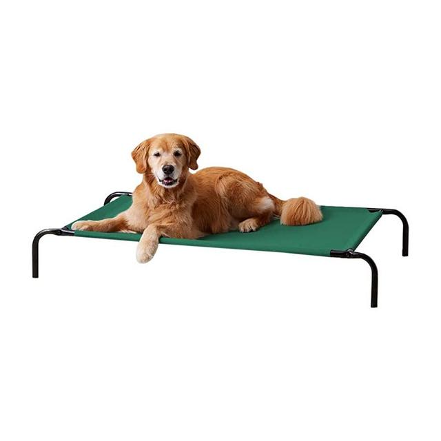 Amazon Basics Cooling Elevated Pet Bed
