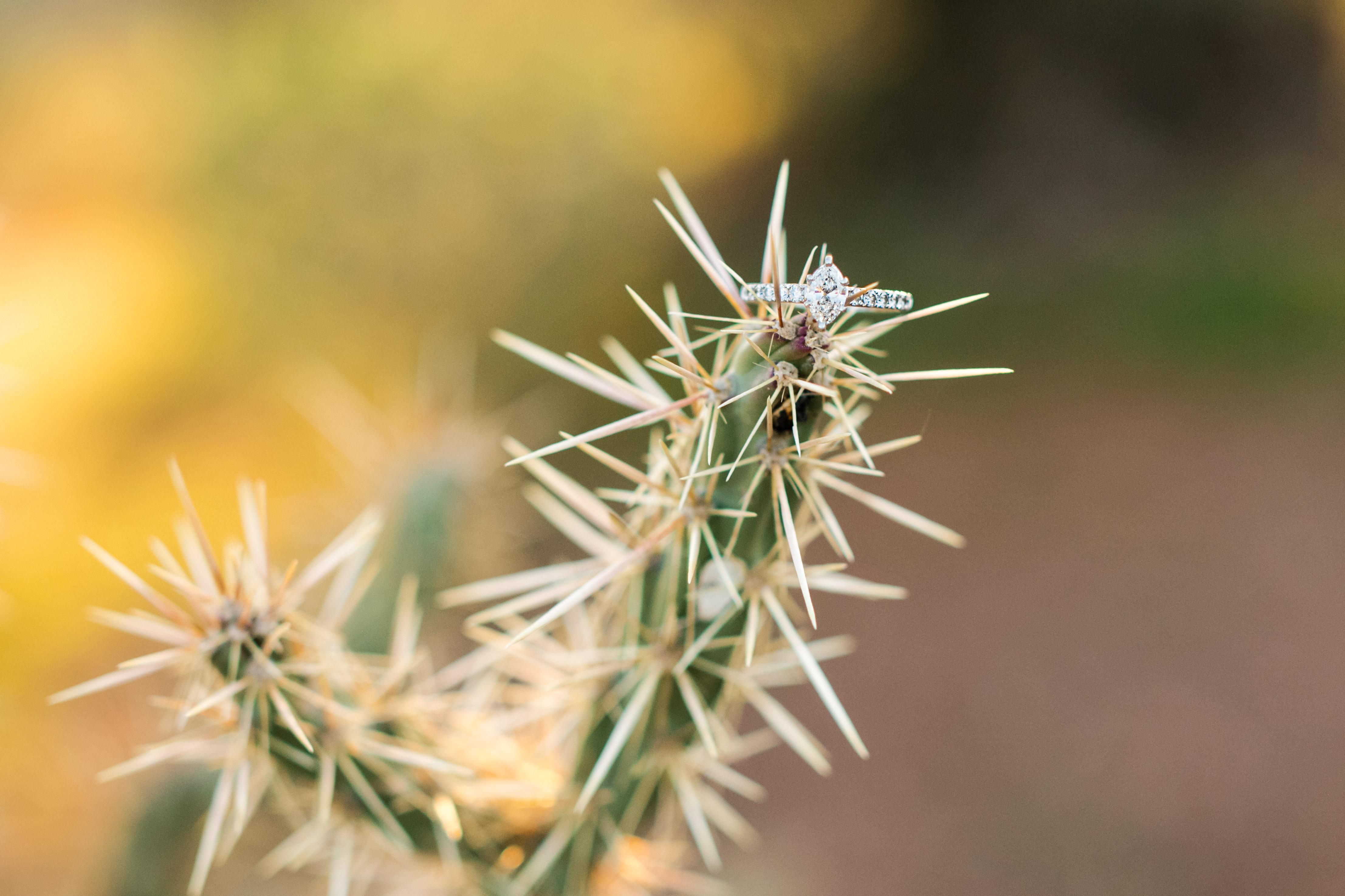 The Wedding Website of Nikki Fox and Frankie Palatrone