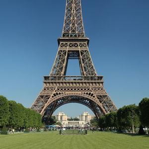 Dinner at the Eiffel Tower!