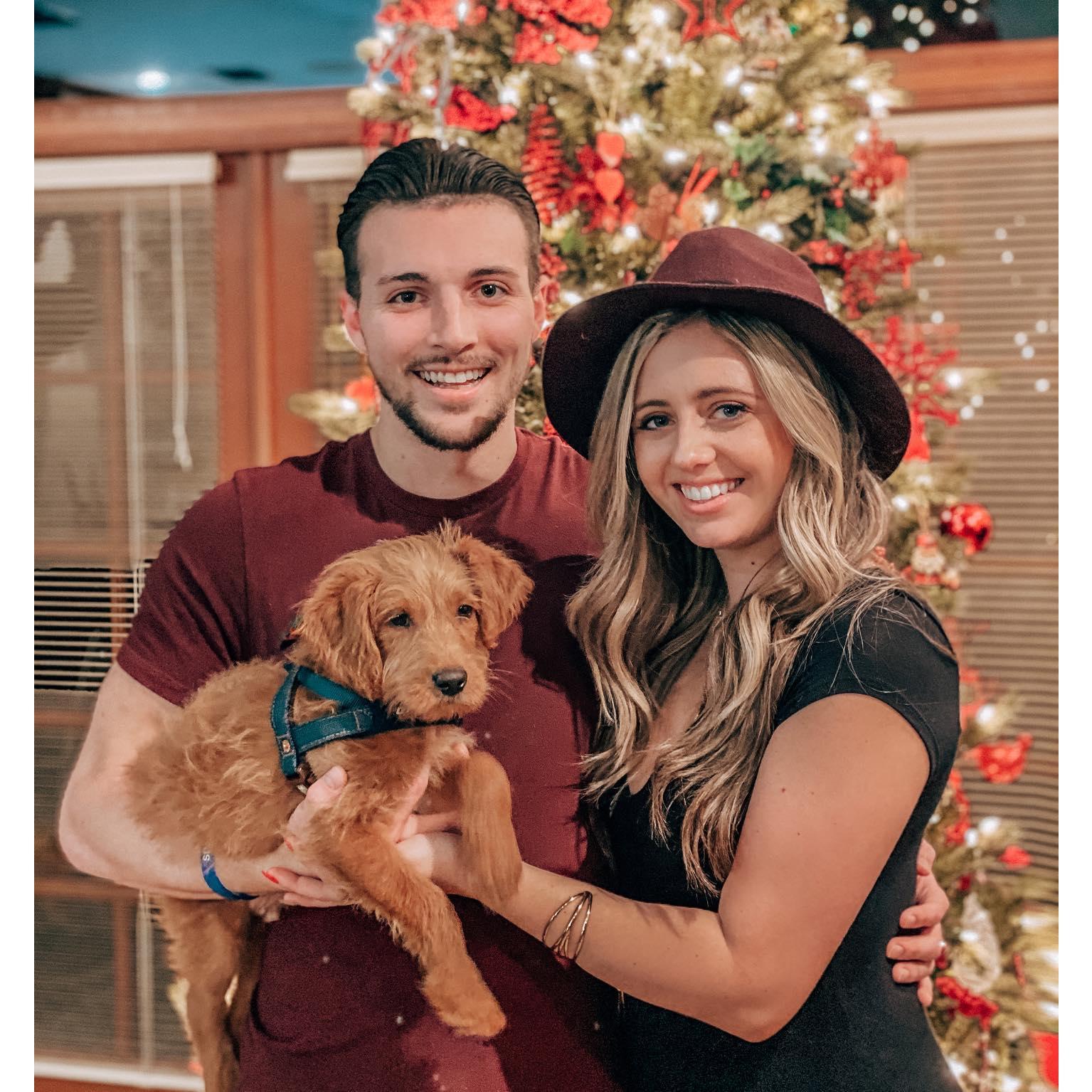 Our first Christmas with Honey