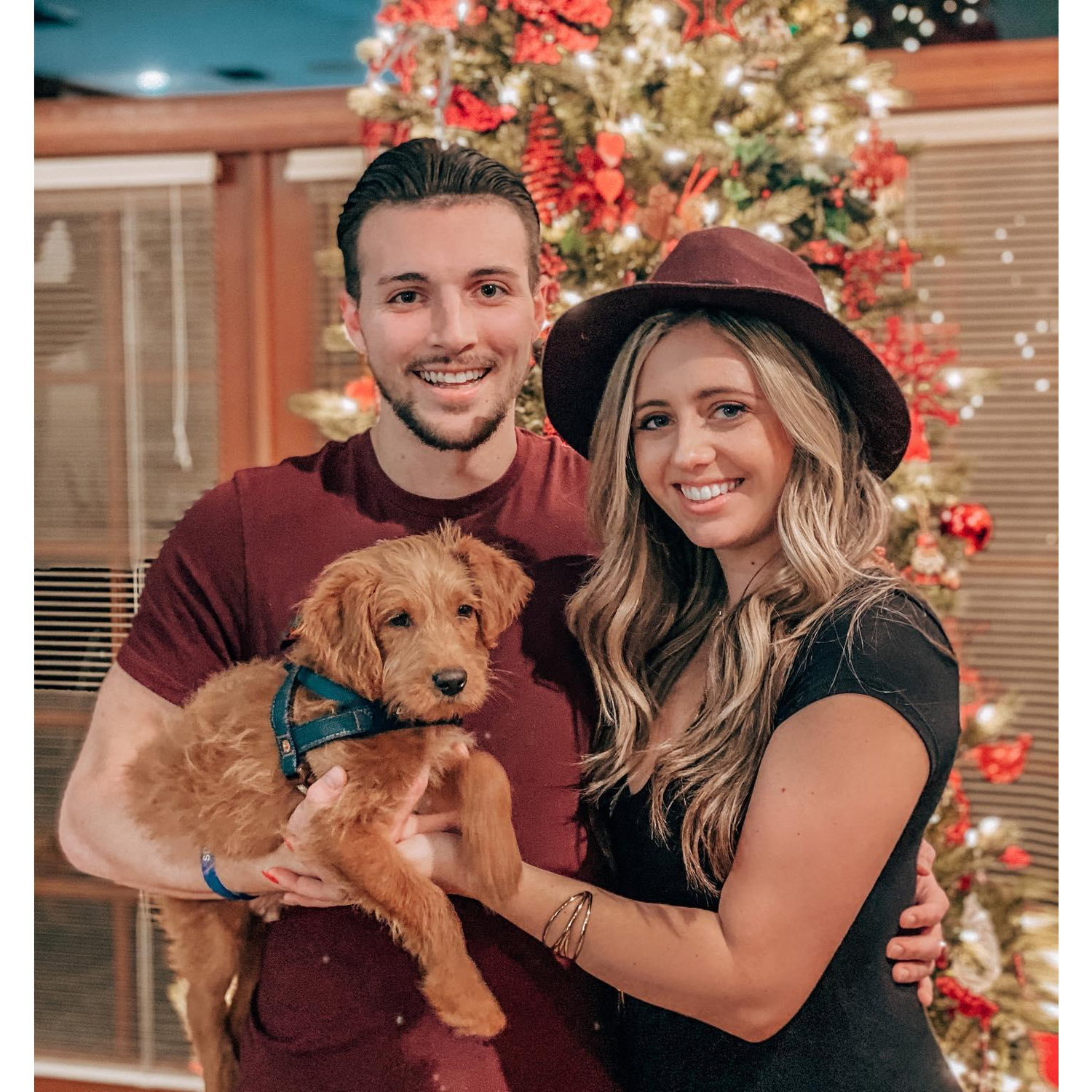 Our first Christmas with Honey