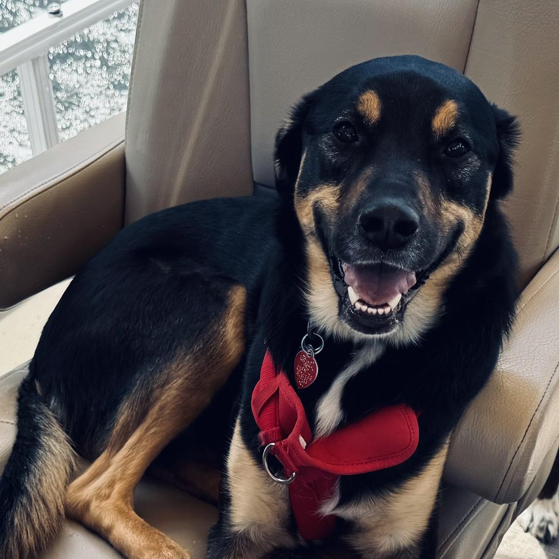 Maisey on the boat in Grand Lake, CO
