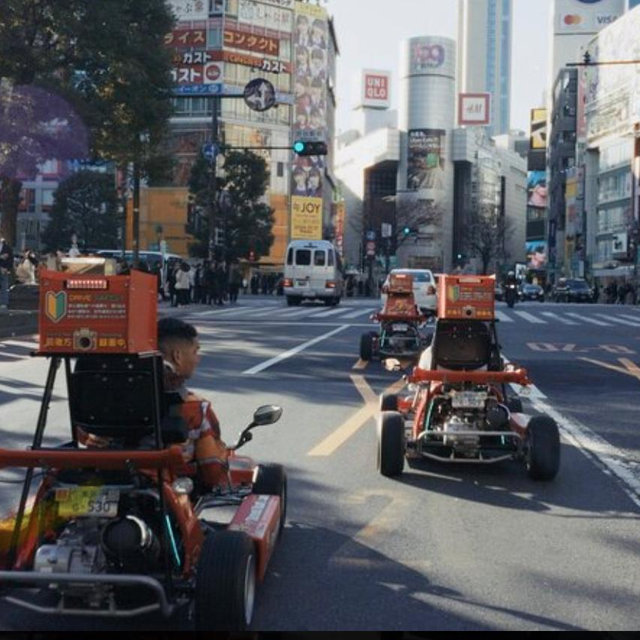 Go-Kart Tokyo Tour on our Honeymoon
