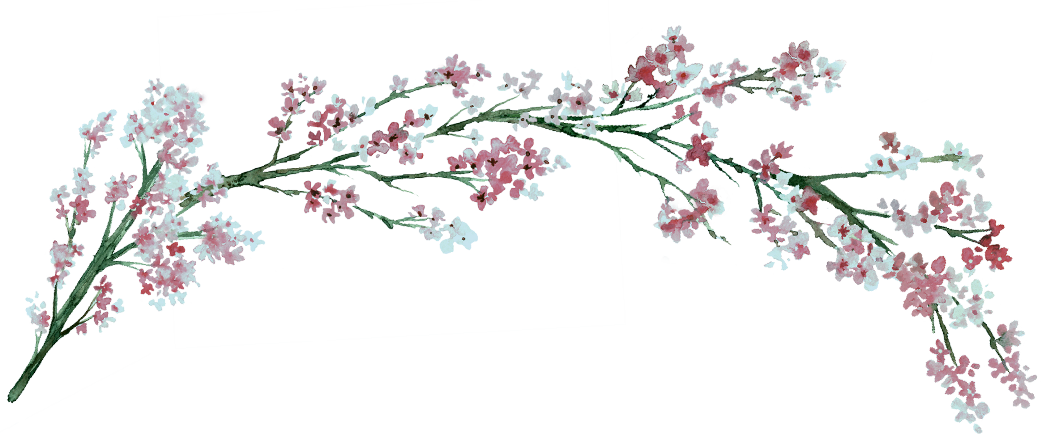 floral