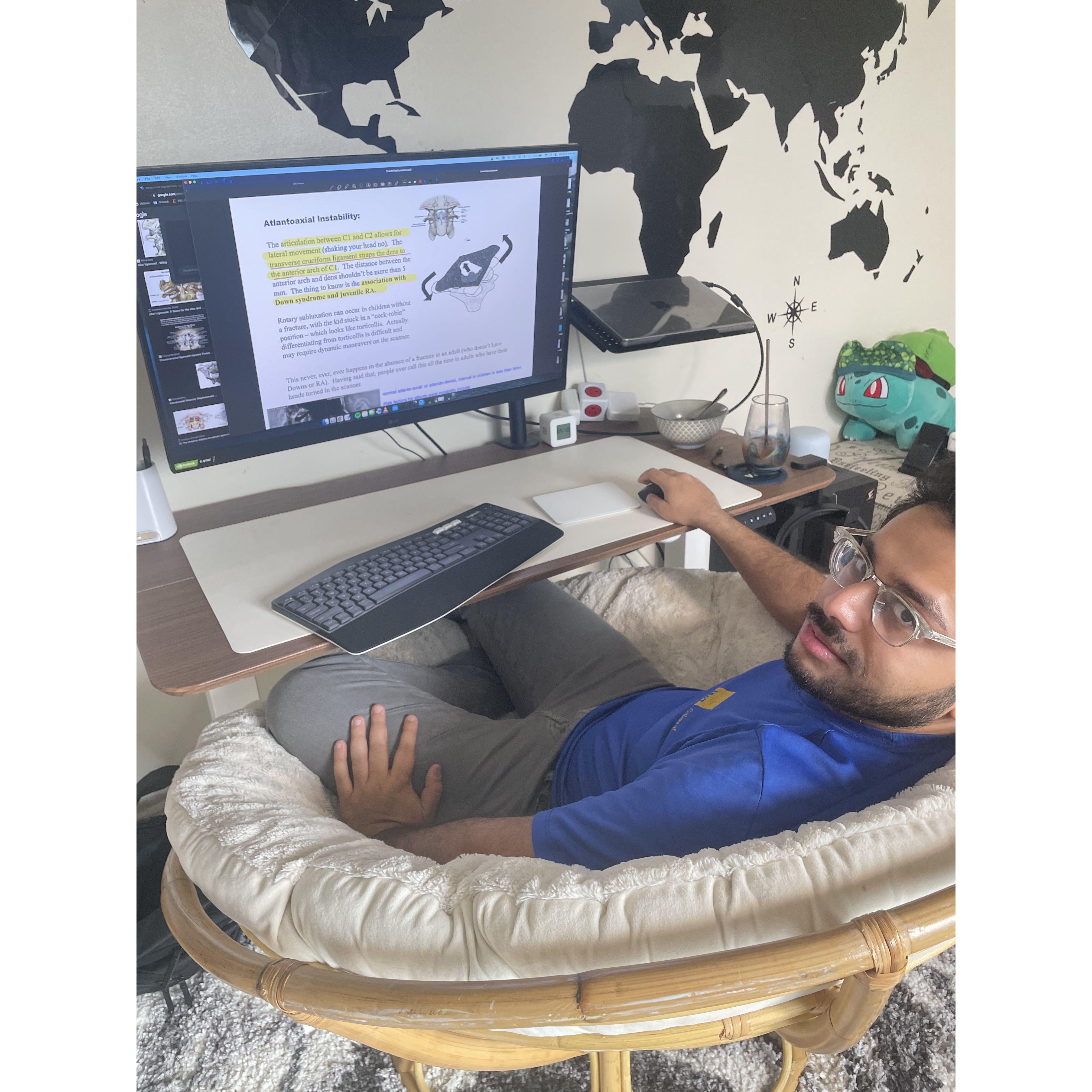 Captured in the wild: a rare sighting of the species Amandeep as he studies for an impossible radiology board exam (which he passed in June 2023 YAY!)