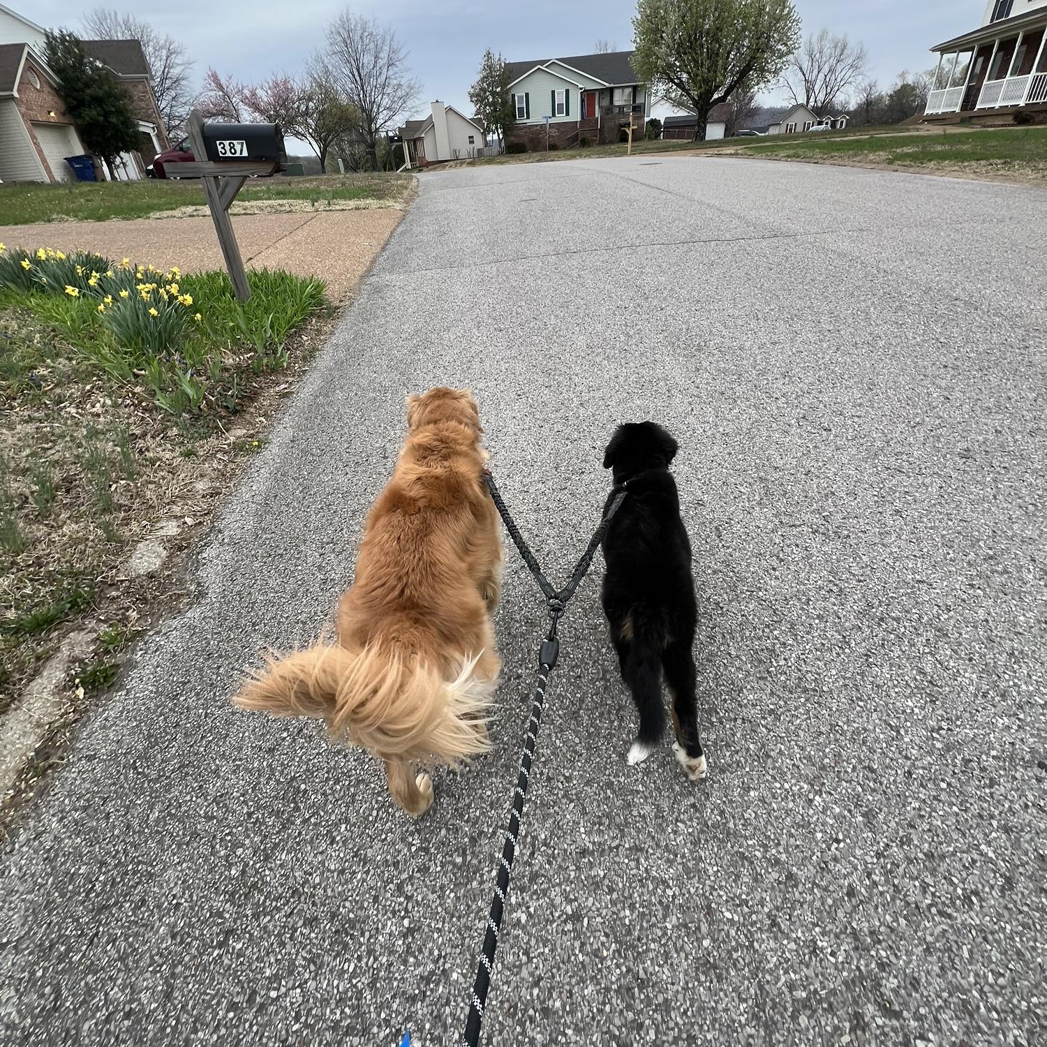 The boys part 2