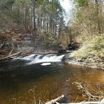 Raymondskill Falls