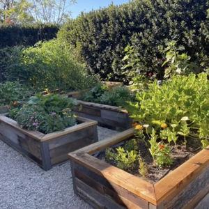 Redwood Planter Boxes - Dare 2 Dream Farms