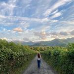 Lake District National Park