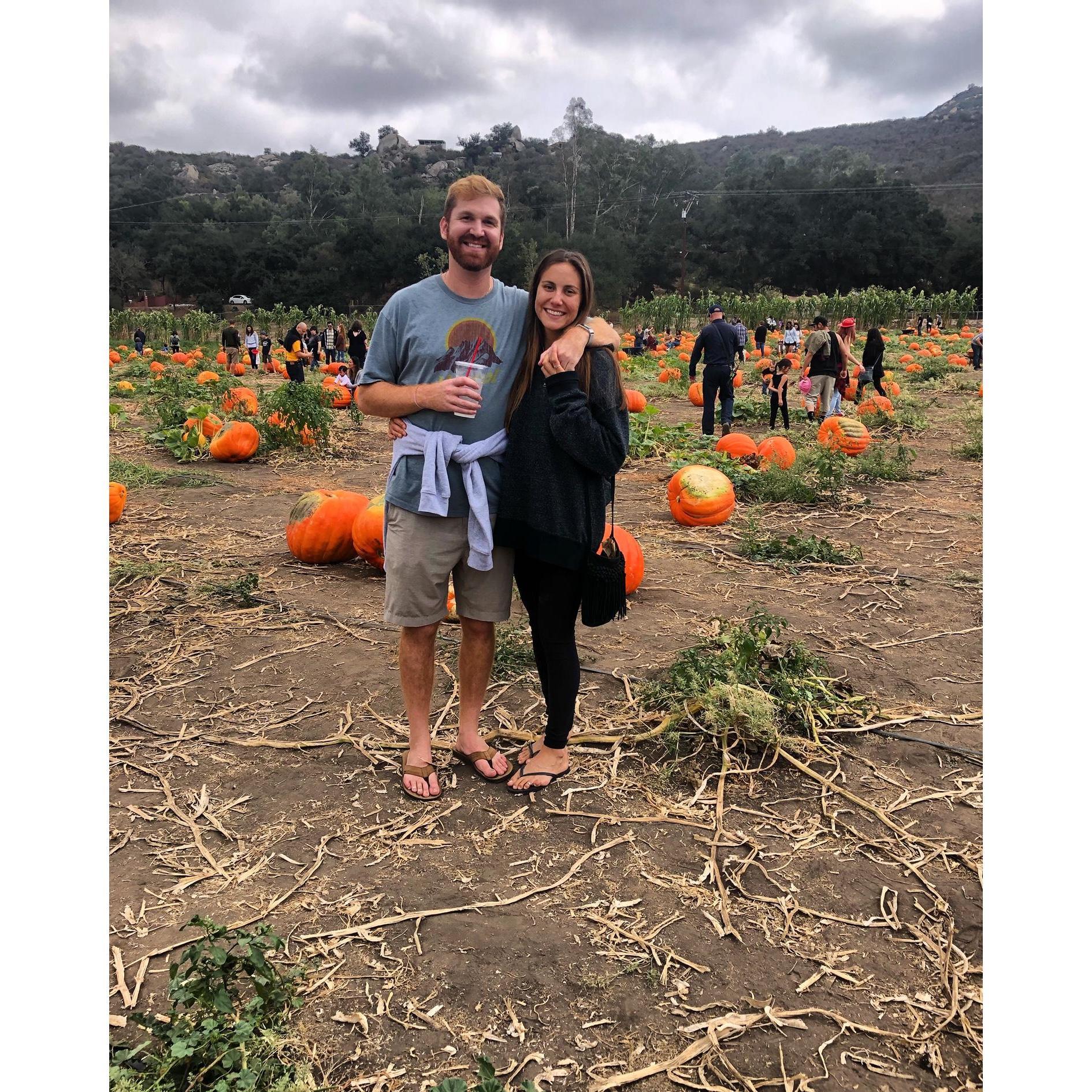 Pickin' pumpkins at Bates Nut Farm.