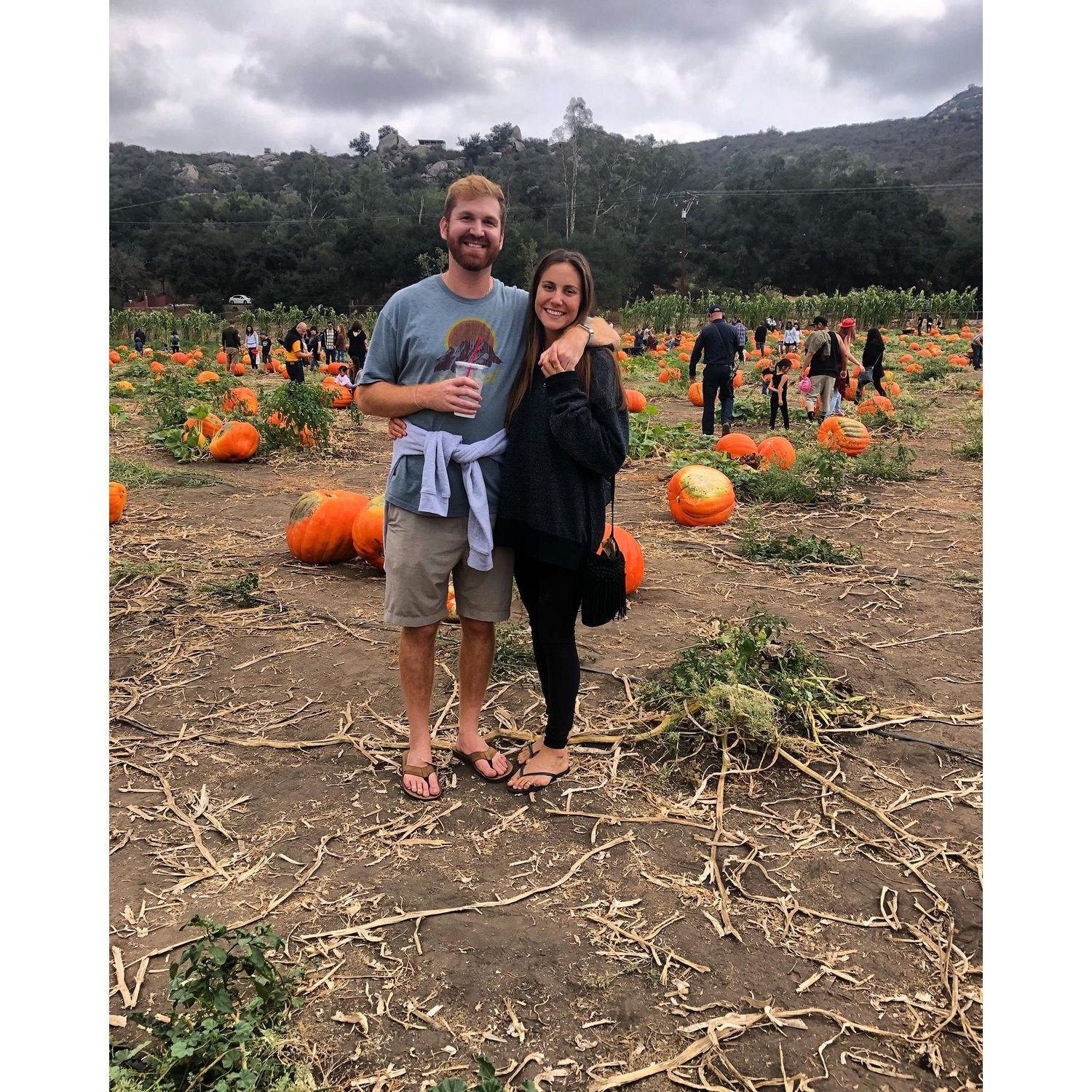 Pickin' pumpkins at Bates Nut Farm.