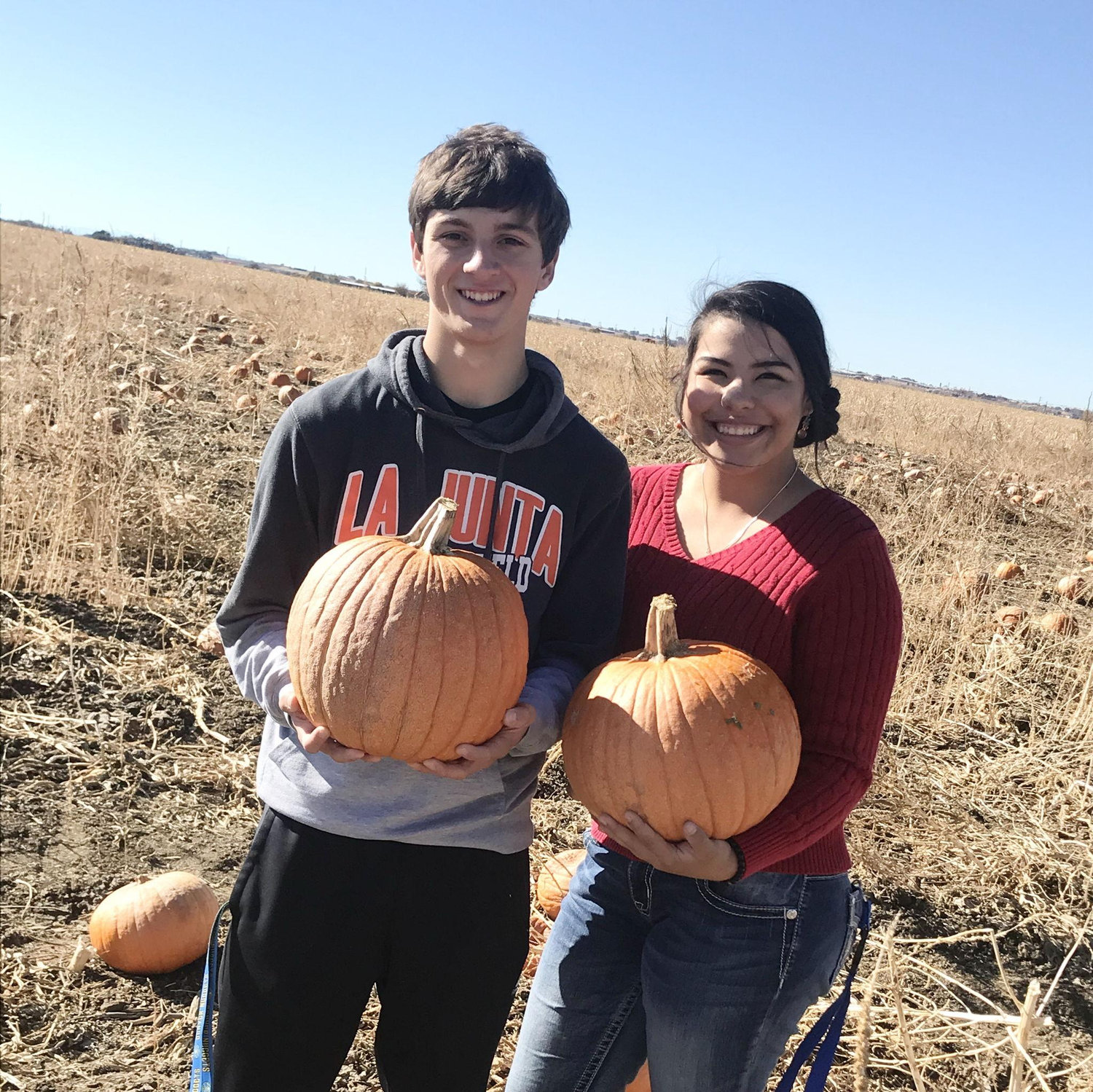 Pumpkin Patch 2019