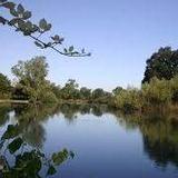 Lodi Lake