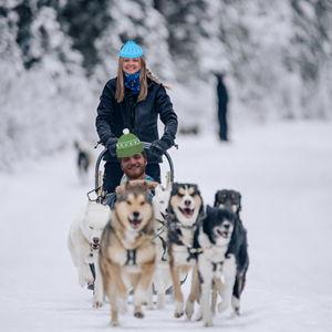 Honeymoon Dog Sledding