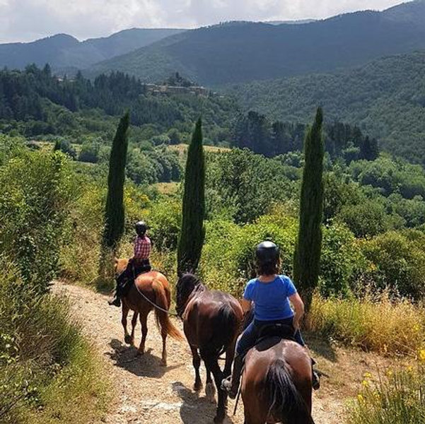 Tuscany Horseback Riding