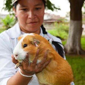 Buy Bianca her first Cui (to eat)