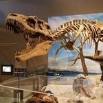 Natural History Museum of Utah