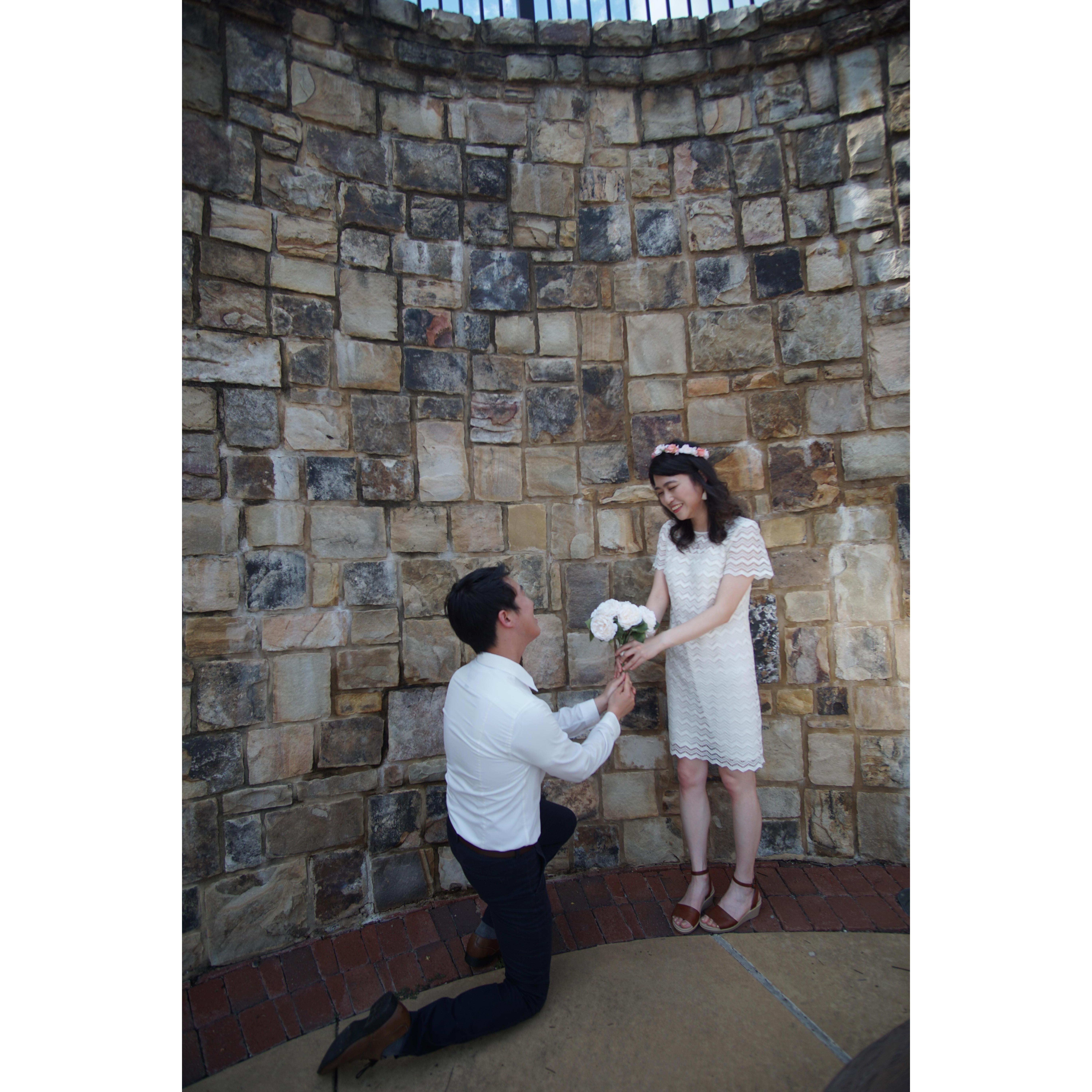 "Will you Marry Me?"