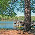 FDR State Park