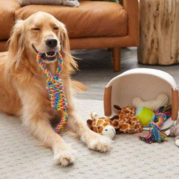 Our Pet Toy Fund