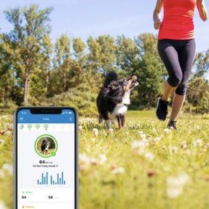 1yr Tractive Subscription Plan
