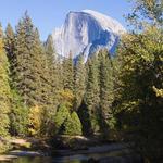 Yosemite National Park Road
