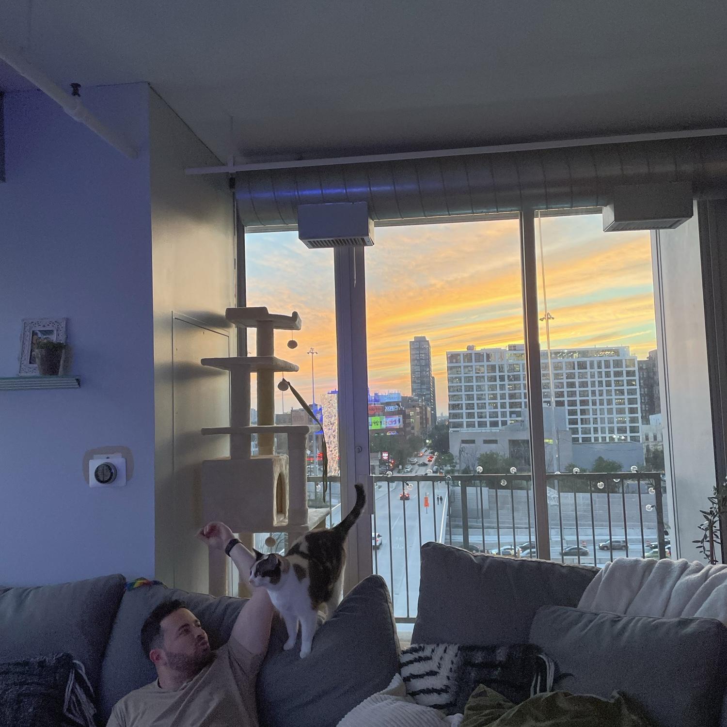 Living together with our girl, Cookie