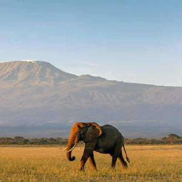 Adventure and Passport Fund