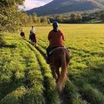 Chipman Stables