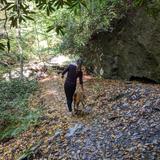 Kellys Run Nature Preserve