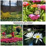 Gibbs Gardens