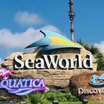 SeaWorld San Antonio
