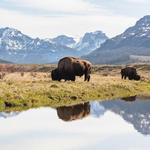 Cody, Wyoming