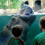 Cincinnati Zoo & Botanical Garden