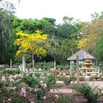 Harry P Leu Gardens