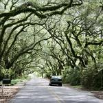 Visit Magnolia Springs