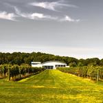 Saltwater Farm Vineyard