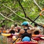 Kayaking SRQ
