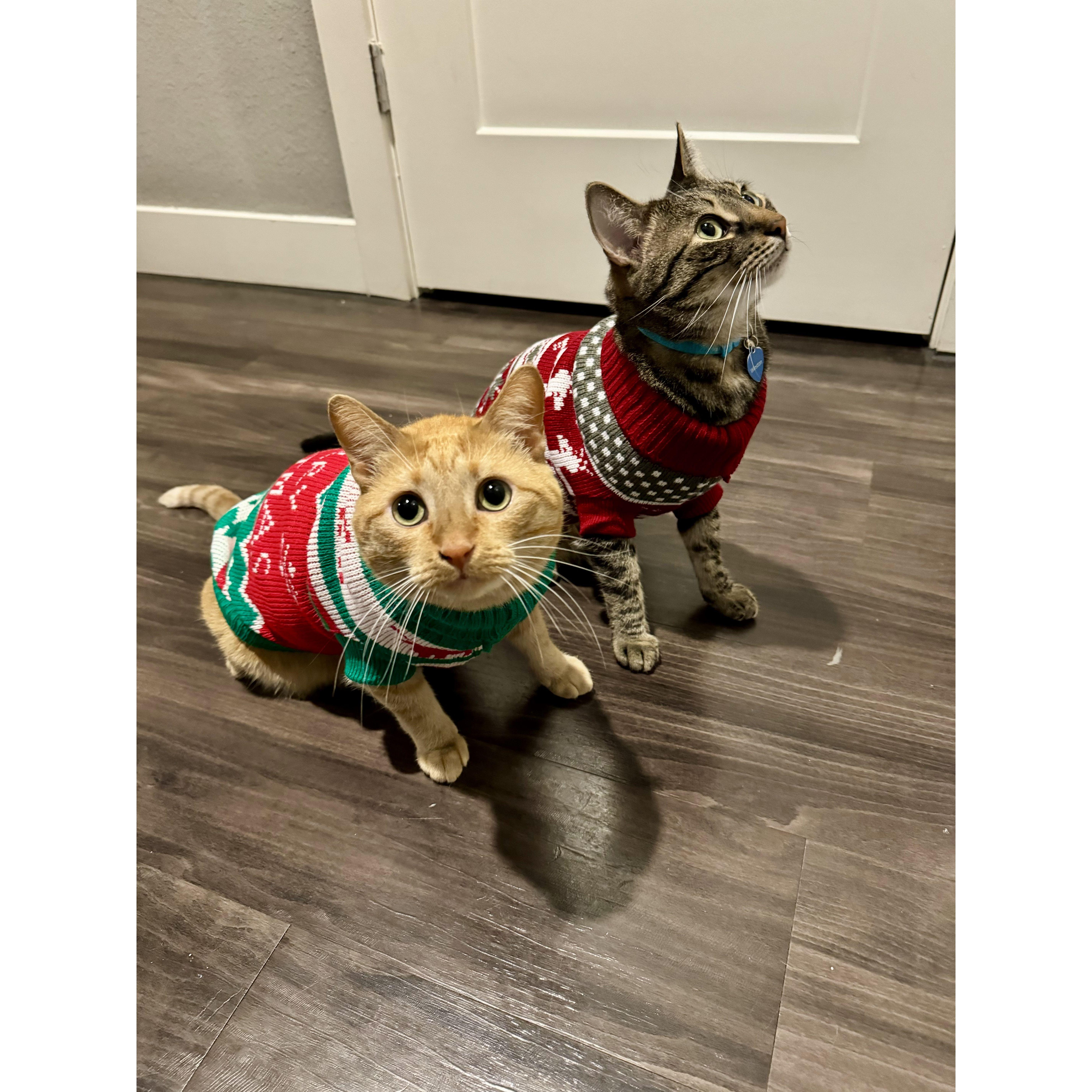 December 2023 - these sweaters were definitely short lived