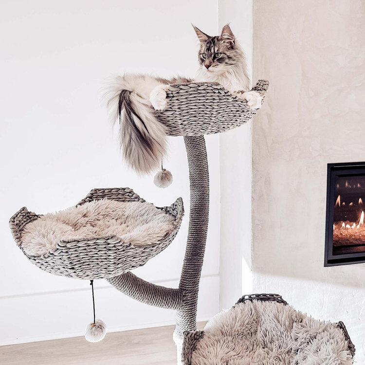 Mau Pets, Ivy 3 Modern Cat Tree | Zola
