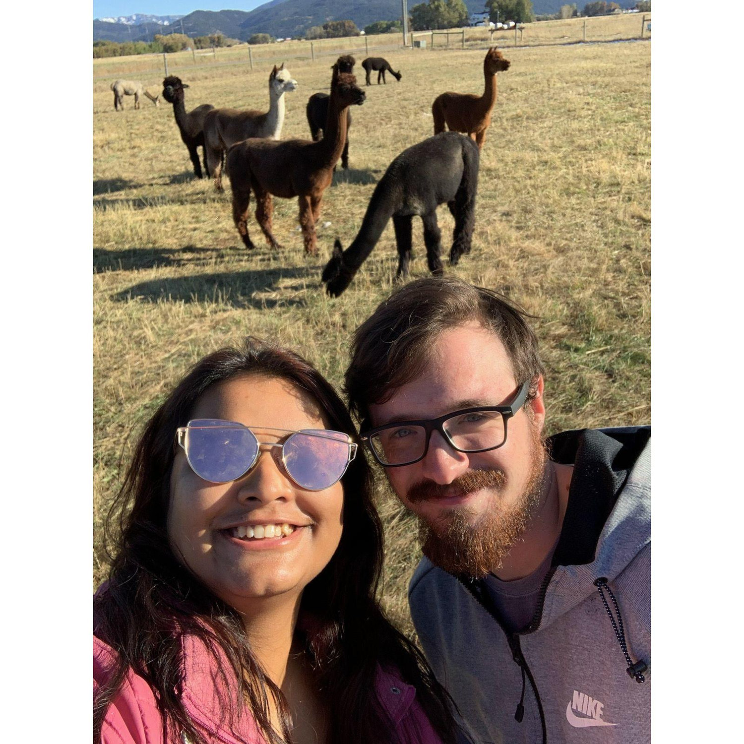 Alpaca Farm date, Summer 2019