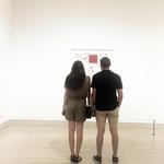 Dallas Museum Of Art