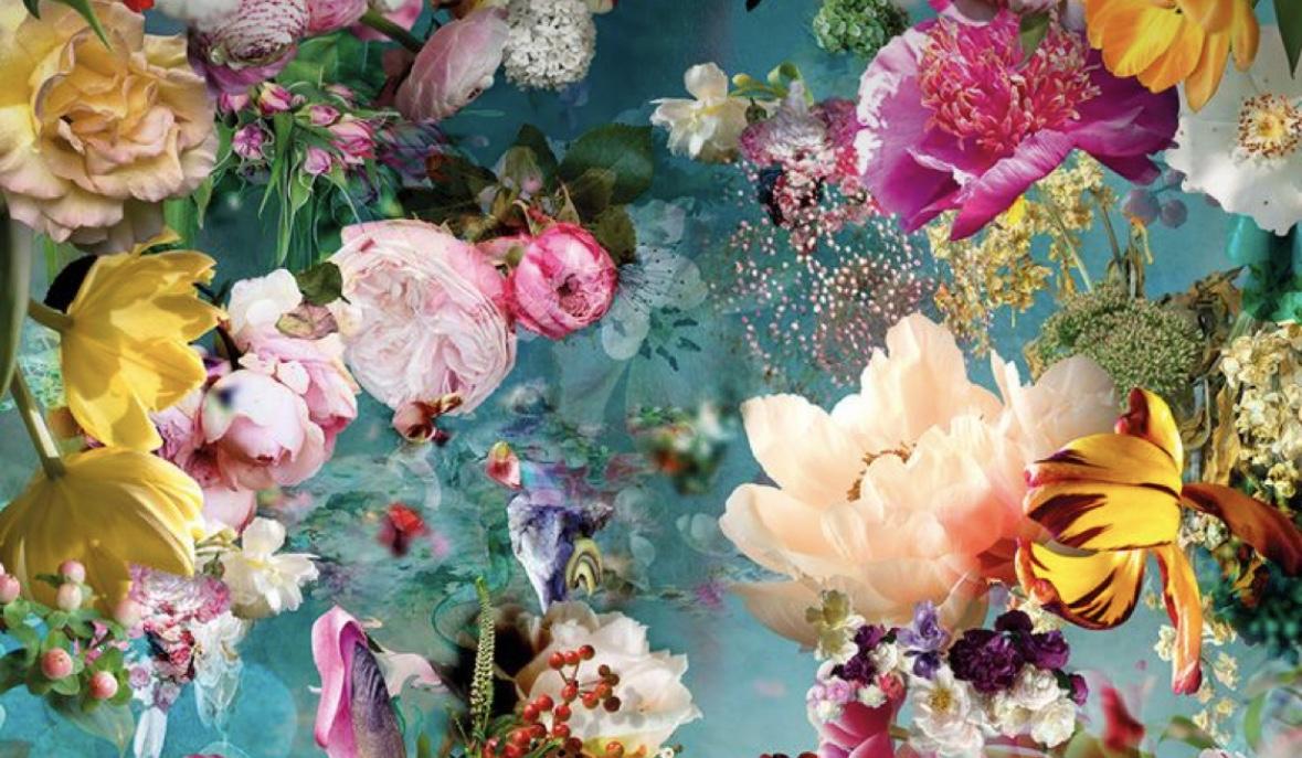 The Wedding Website of Bella Gagliordi and Cam McCurdy