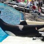 Sea World