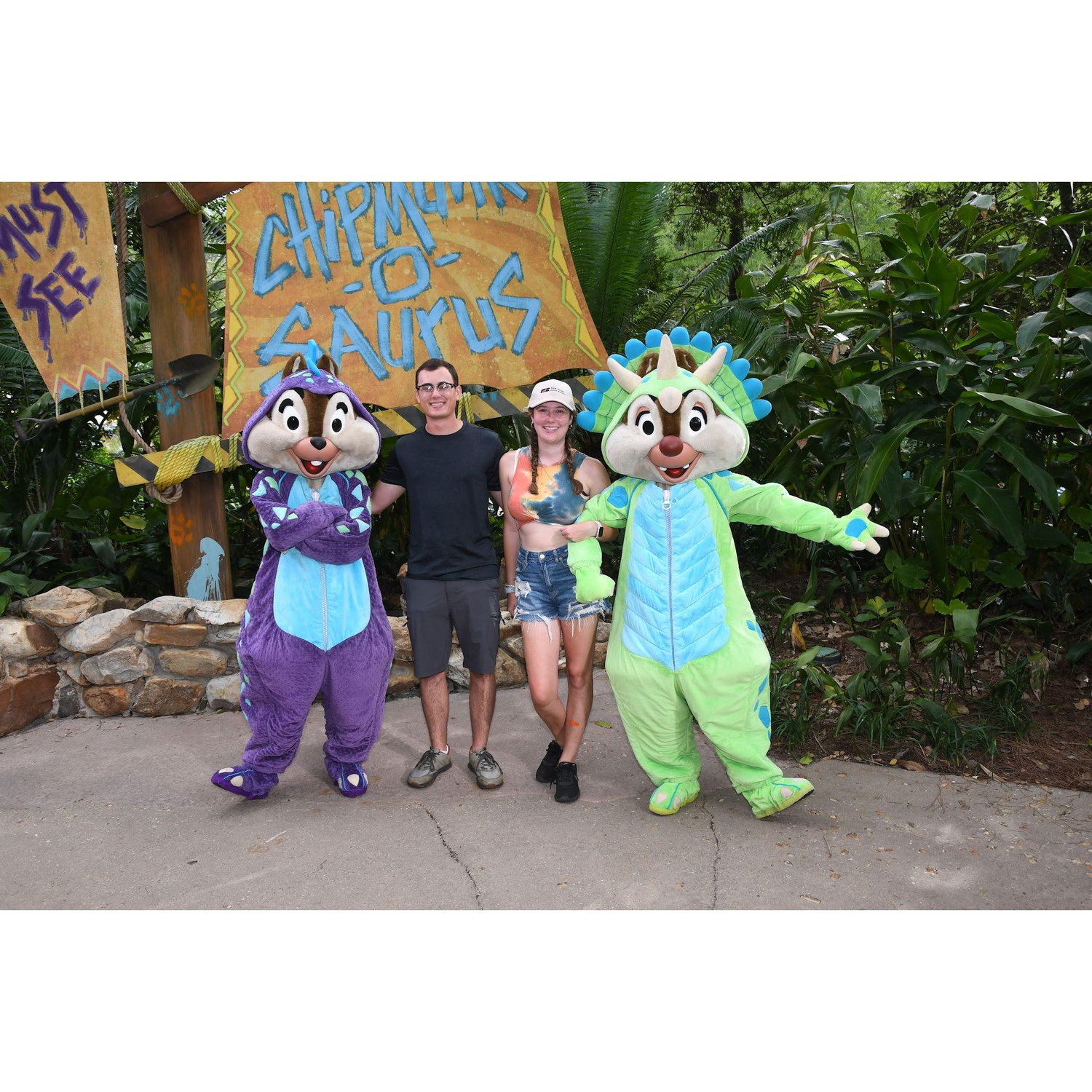 Disney World Advantures